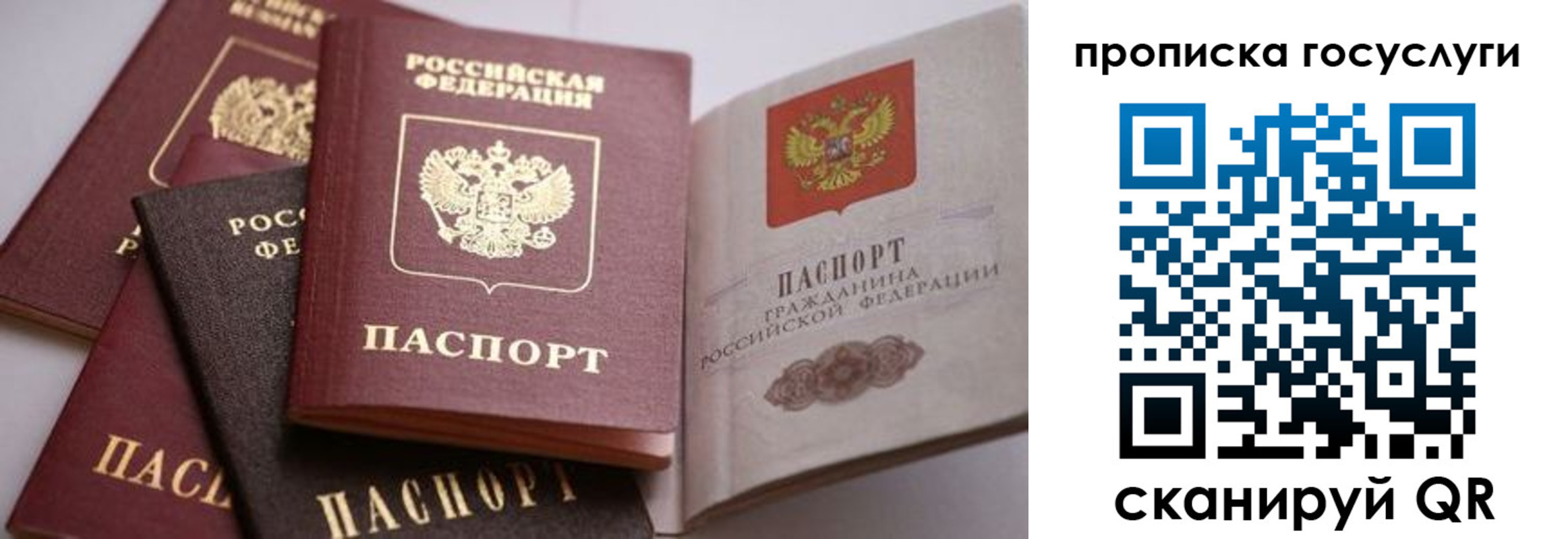 прописка иностранных граждан в Мончегорске