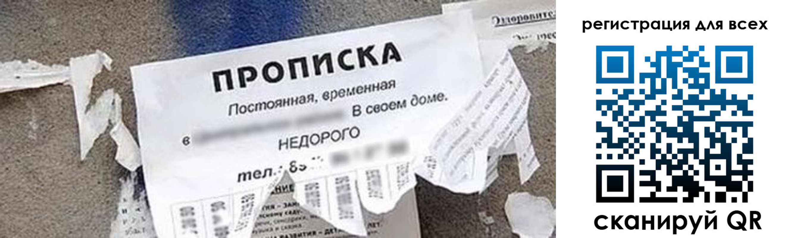 прописка поиск в Мончегорске